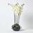 Homescapes Large Style Cream Orchids in Black Figurine