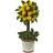 Nearly Natural Lemon Ball Artificial Topiary Arrangement