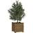 vidaXL Garden Planter Honey Brown 31x31x31 Solid Pinewood