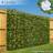 Christow Trellis With White Flowers 1m