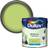 Dulux Standard Kiwi Crush Matt Emulsion Wall Paint, Ceiling Paint Blue, Black