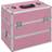 vidaXL Make-up Case 2-Tier Handle Spacious Pink Aluminium Vanity Organiser