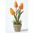 Homescapes & Red Artificial Tulips Orange Artificial Plant