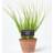 Homescapes Artificial Chive Plant Terracotta Artificial Plant