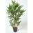 Homescapes 3ft Bamboo Tree Artificial Plant with Artificial Plant