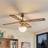 Ceiling Fans with Lighting 'Rakan' Living