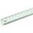 Linex Flat Scale Ruler 1:1 1:20-500 30cm