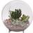 Panacea Large Glass Terrarium with Feet