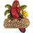 Design Toscano 10 8 in. Tropic Parrot Paradise Wall Sculpture Figurine