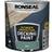 Ronseal Ultimate Protection Deck Wood Paint Sage 2.5L