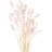Hill Interiors Dried Pink Bunny Tail Bunch Vase
