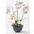 Homescapes White Orchid 62 Phalaenopsis Pot 5 Artificial Plant