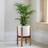 Ivyline Anzio Stone Planter with Wooden Stand