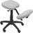 P&C Ergonomic Lietor Seating Stool