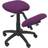 P&C Ergonomic Lietor Seating Stool