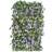 Smart Garden Wisteria Expanding Trellis 180 X