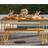 Novogratz Paulette Poolside Garden Patio Dining Set