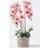 Homescapes Pink Orchid 64 Phalaenopsis Cement Pot Artificial Plant