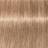 Schwarzkopf Professional IGORA Royal Hair Color Shade 9-19 Extra LIght Blonde 60ml