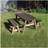Rutland County Garden Furniture Oakham 7ft Picnic
