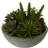 Premier Interiors Mixed Faux Succulent In Small Stone Effect