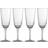 Bloomingville Asali Champagne Glass 27.5cl 4pcs