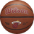 Wilson NBA Team Alliance Basketball Brown