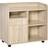 Vinsetto Filing Storage Cabinet