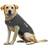 Thundershirt Anxiety Coat for Dog S 2015