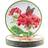 Certified International Geraniums Multicolored Dinner Plate