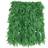 Beistle Tropical Fern Leaf Hula Skirt, 36" Width by 24" Length