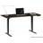 BDI Sequel 20 Lift Standing Writing Desk