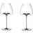 Zieher Vision Balanced White Wine Glass, Red Wine Glass 85cl 2pcs