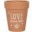 Something Different Love Grows Here Terracotta Plant Pot