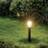 CGC Dark Garden Medium Lamp Post