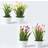 Homescapes Set of 4 Multi-Coloured Calla Lilies Pots Artificial Plant