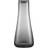 Blomus Belo Water Carafe