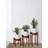 Florny Modern Set of 3 Wood Plant Stand