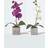 Homescapes Set of 2 Cerise Pink & White Orchids Artificial Plant