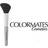 Colormates soft blush brush