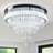 FRIXCHUR Elegant Ceiling Lamp