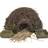 Selections Brushwood Hogitat Hedgehog House Shelter Brown 2.5kg