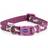 Ancol Fashion Adjustable Nylon Collar Purple Bone 30-50cm
