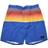 Rip Curl Allover Semi Elastic Boardshorts Retro Blue