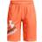 Under Armour Boys' UA Prototype 2.0 Logo Shorts - Orange