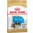 Royal Canin Shih Tzu Puppy 1.5kg