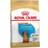 Royal Canin Dachshund Puppy 1.5kg