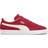 Puma Suede Classic XXI M - Cabernet/White