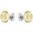 Hugo Boss Yann Ladies' Gold Tone Steel Stud Earrings