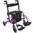 Aidapt Duo Rollator And Transit Chair